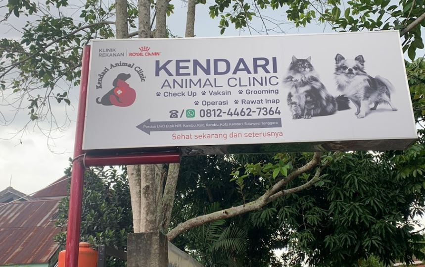 klinik Dokter Hewan Kendari Animal Care
