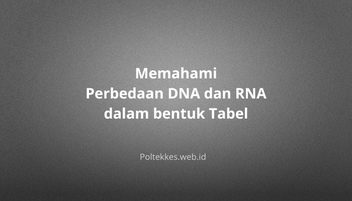Memahami Perbedaan DNA dan RNA dalam bentuk Tabel